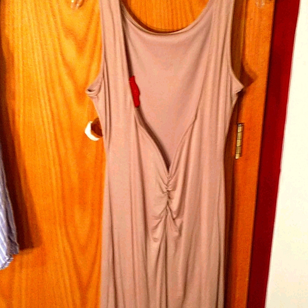 Beige dress from AKIRA
